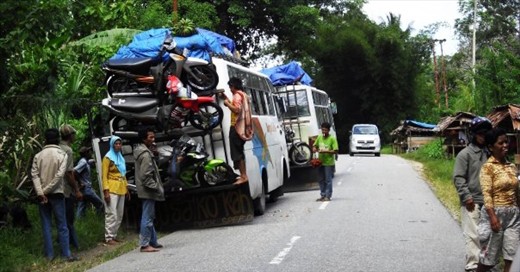 Indonesian Bus