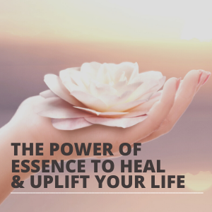 The Power of Presence to Heal AND Uplift Your Life SQUARE