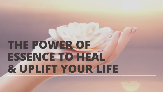 The Power of Presence to Heal AND Uplift Your Life