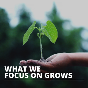 what we focus on grows SQUARE