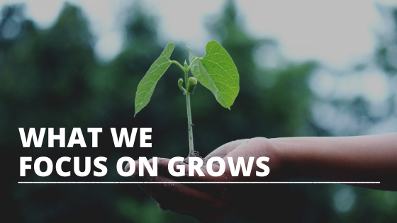 what we focus on grows